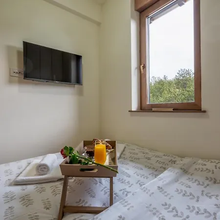 Apartment Oasis Zlatibor